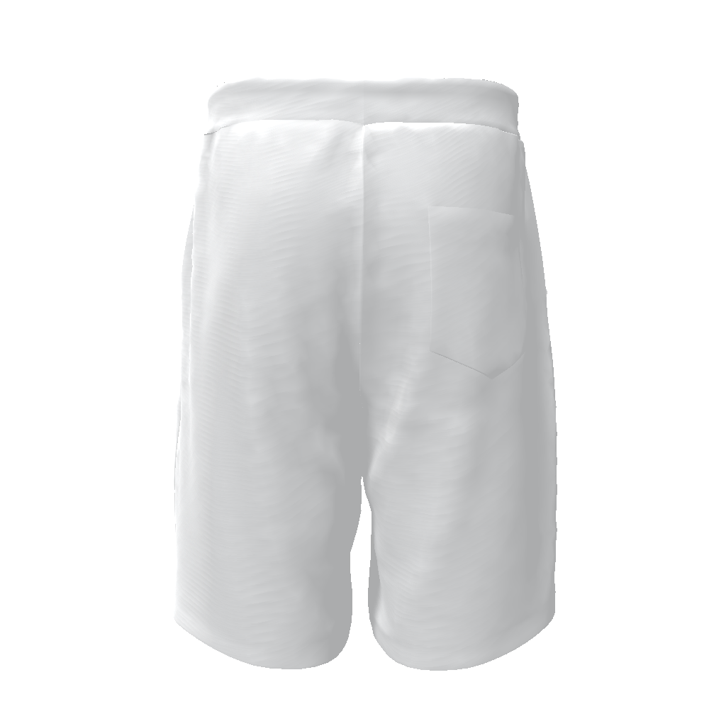 LEVELS TO THIS PEN SHORTS